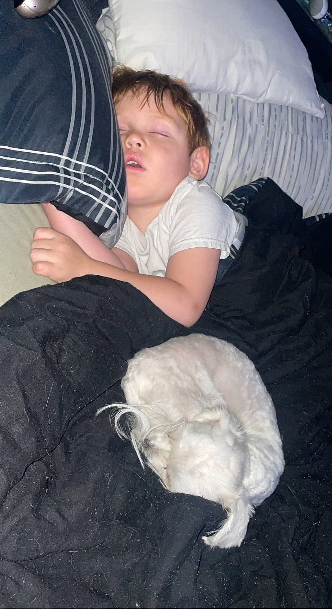 Beast joined the competition — help win amazing prizes! cat, child, comfort, companion_dog, elbow, felidae, fun, fur, human_leg, lap, linens, plaid, plastic_bag, room, sitting, sleeve, small_to_medium_sized_cats, tartan, thigh, toddler