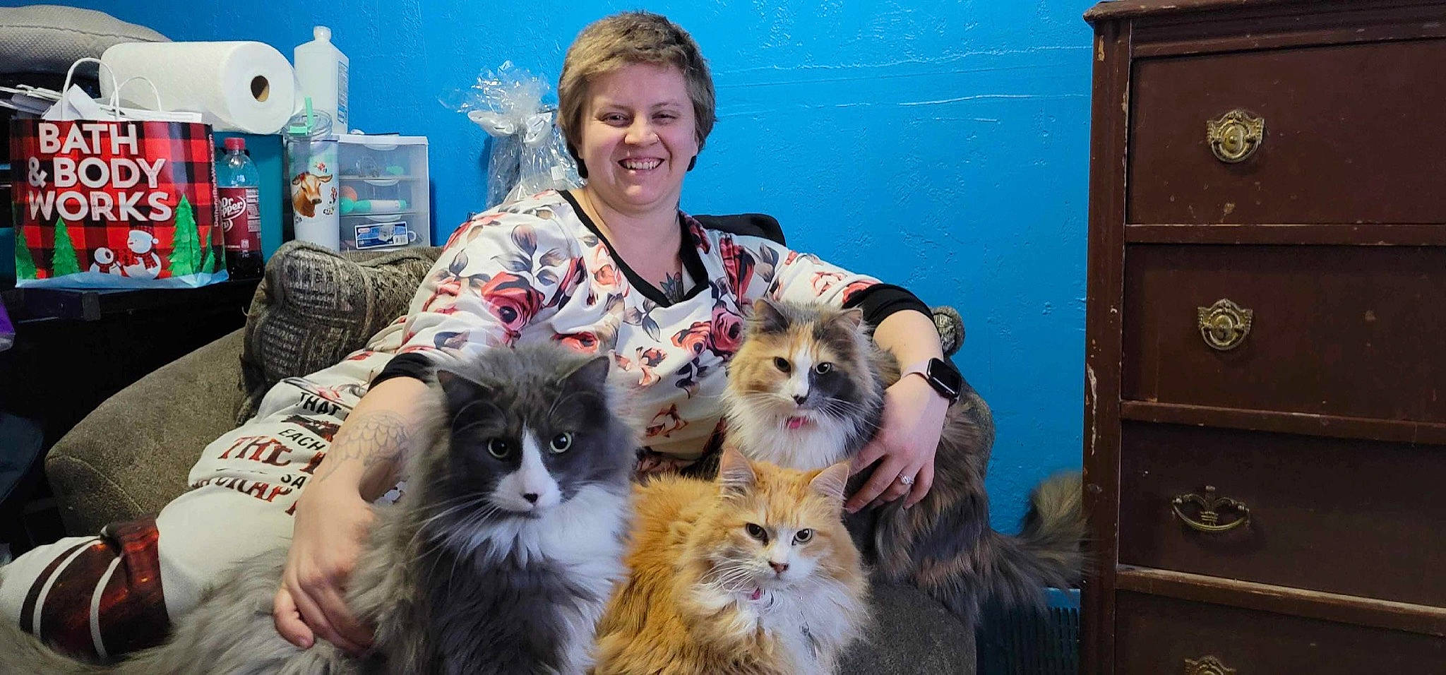 Oliver is registered to the contest to win money with this photo: british_longhair, cabinetry, carnivore, cat, chair, companion_dog, cupboard, door, event, fawn, felidae, fun, fur, photograph, plant, sitting, small_to_medium_sized_cats, smile, snapshot, whiskers