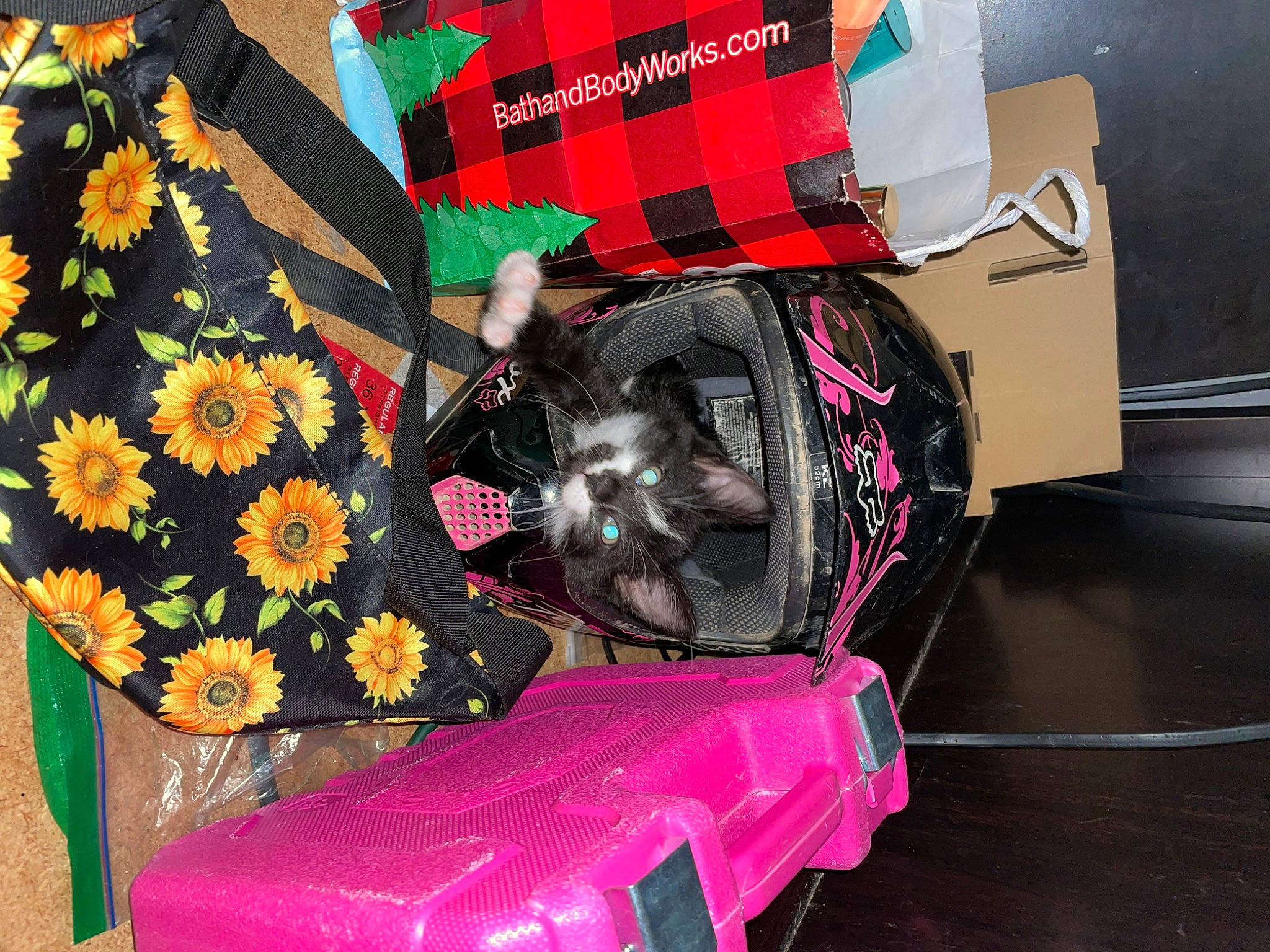 Leo is registered to the contest to win money with this photo: automotive_lighting, automotive_tire, bag, bumper, carmine, creative_arts, fashion, fashion_accessory, flower, linens, luggage_and_bags, magenta, pattern, petal, plaid, tartan, textile, tire, toy, wheel