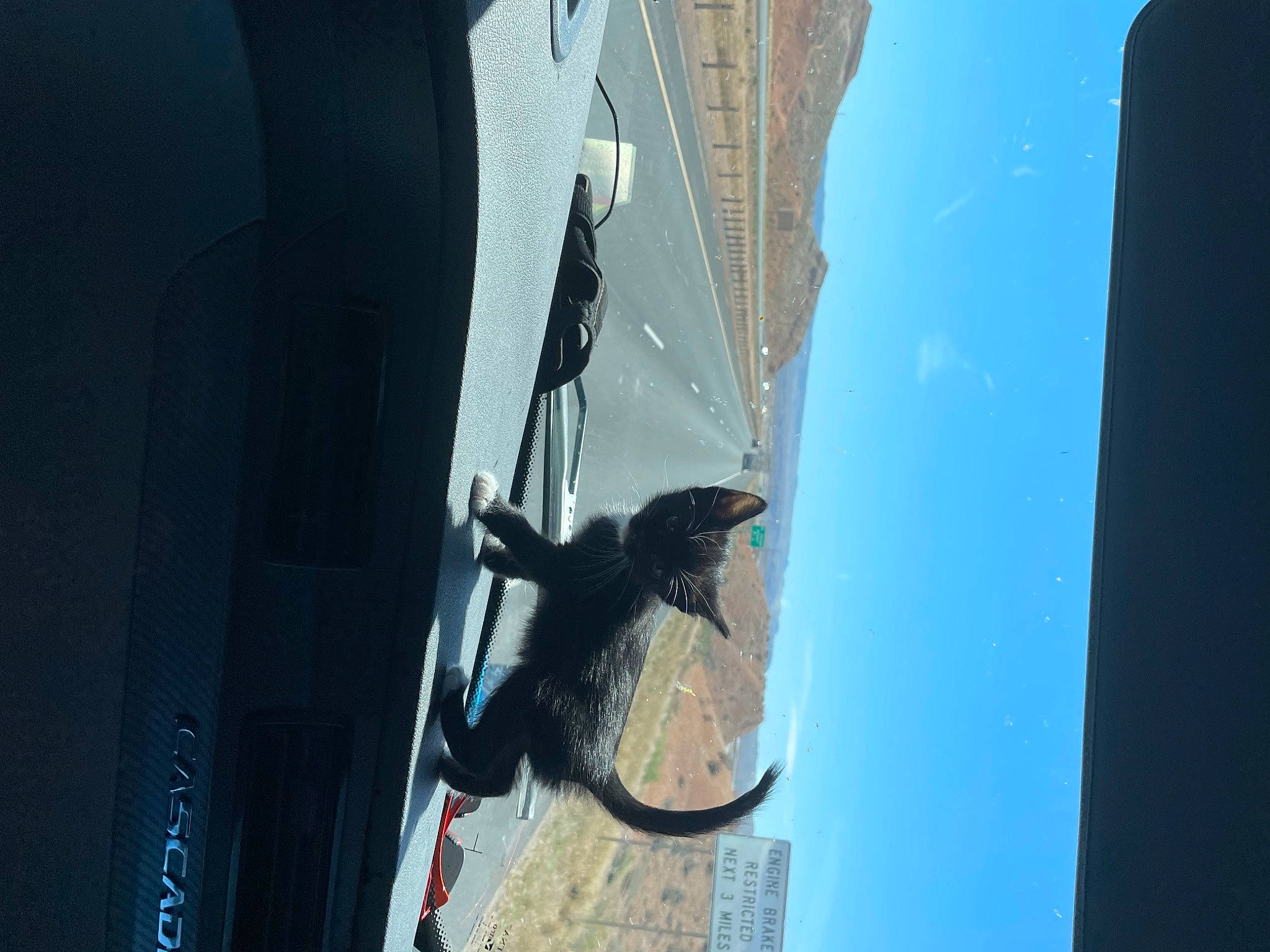 Aria is registered to the contest to win money with this photo: architecture, art, auto_part, automotive_exterior, automotive_tire, azure, building, city, daytime, electric_blue, electrical_wiring, shadow, sky, tire, vehicle, vehicle_door, water, wheel, window, wire