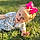 Evelina