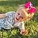 Evelina