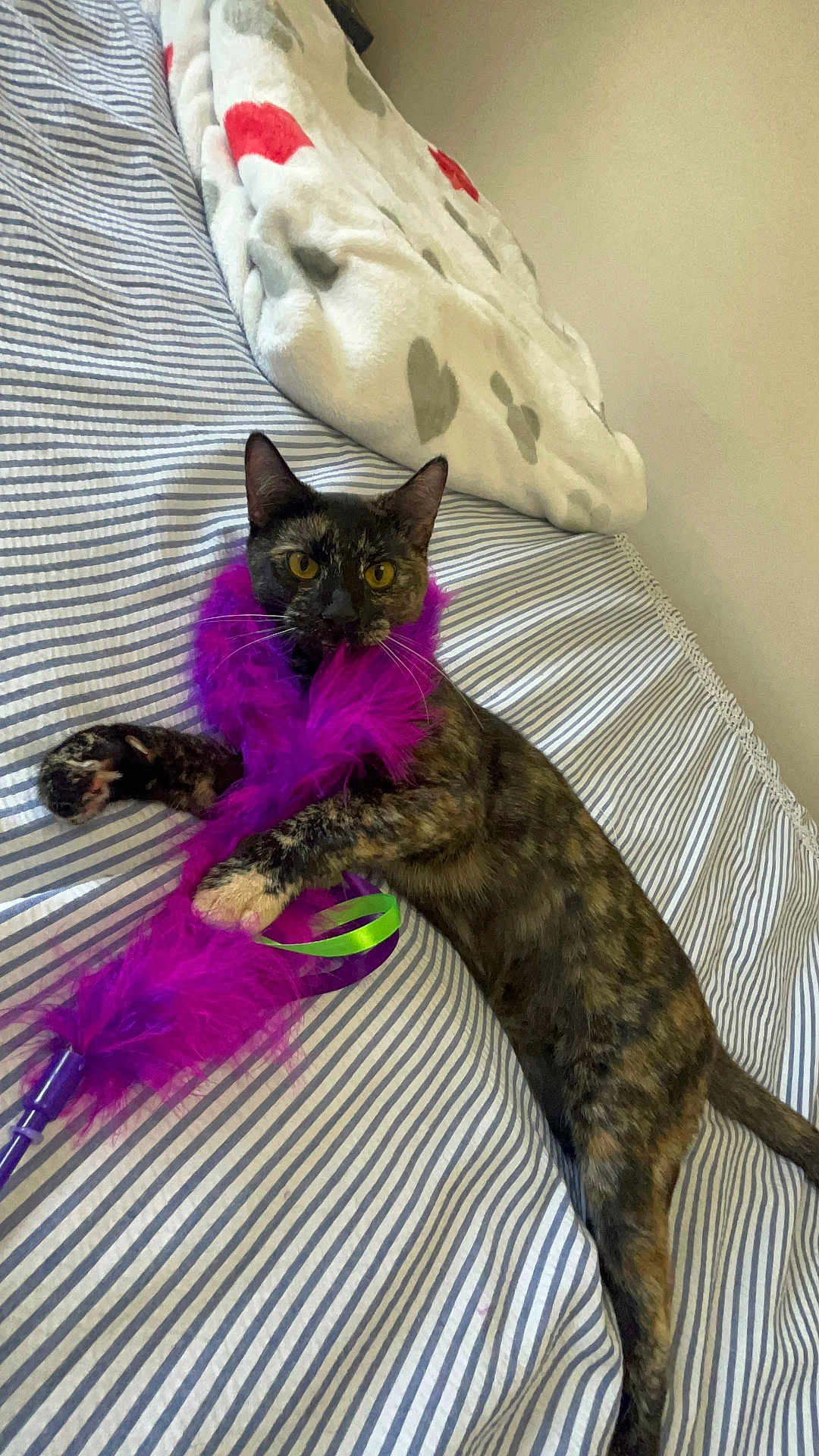 Luna