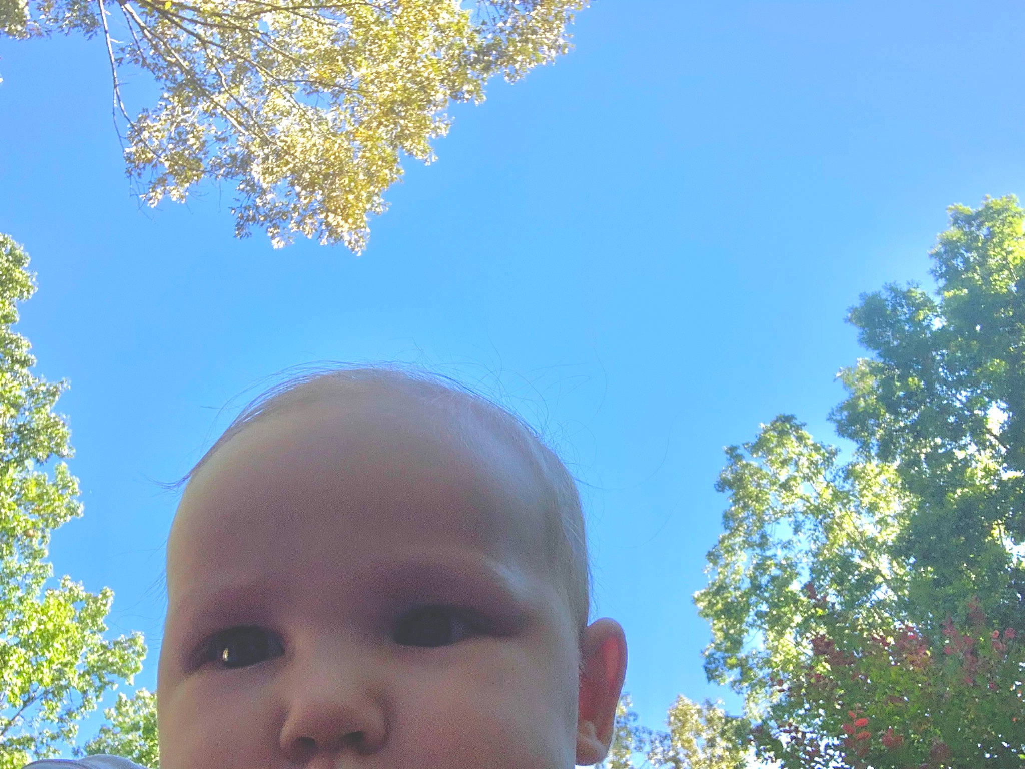Gavyn is registered to the contest to win money with this photo: baby, branch, child, electric_blue, grass, happy, head, leaf, leisure, nature, people_in_nature, person, photograph, plant, sky, sunlight, toddler, travel, tree, twig