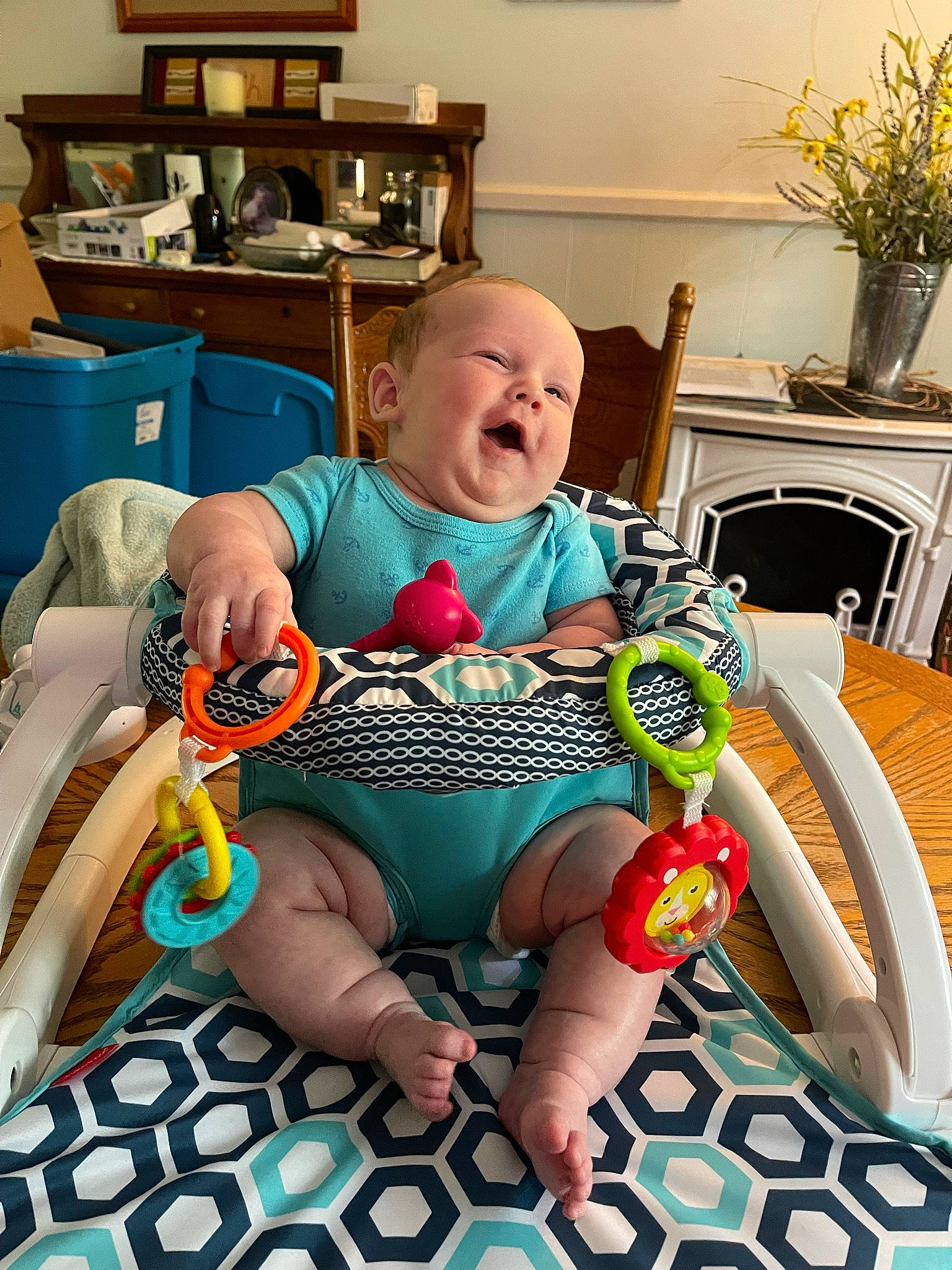Gavyn joined the competition — help win amazing prizes! baby, baby_toddler_clothing, blue, chair, child, comfort, flower, flowerpot, furniture, happy, houseplant, lap, leg, person, plant, shelf, sitting, smile, thigh, toddler