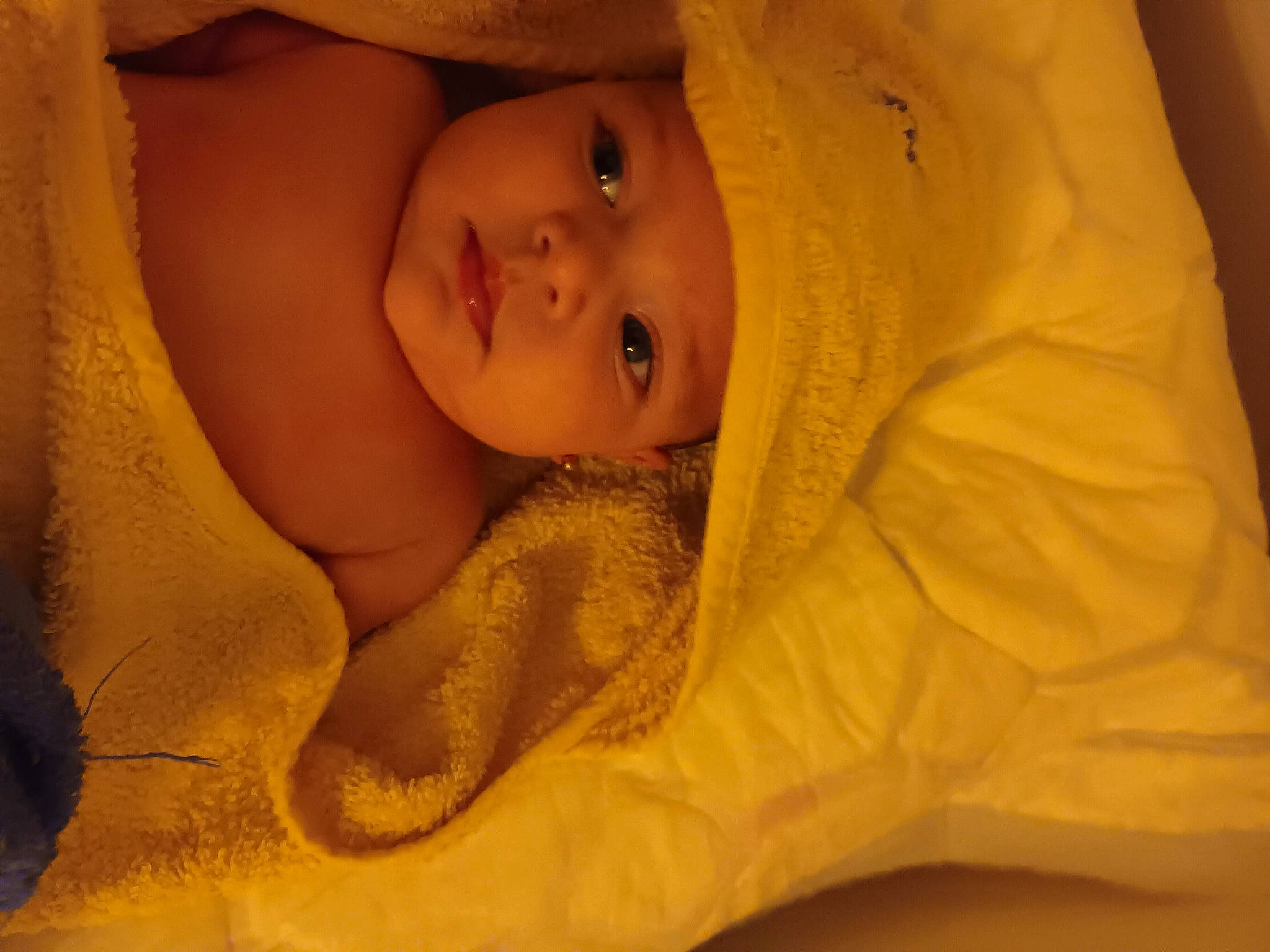 Paola a rejoint le concours — aidez-le/la à gagner de superbes lots ! abdomen, baby, bedtime, cheek, child, comfort, ear, eyebrow, eyelash, fur, hand, headwear, human_body, iris, linens, lip, neck, nose, person, room