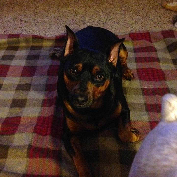 Jack