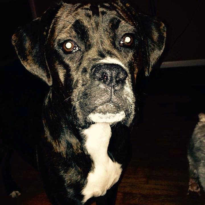 Sadie