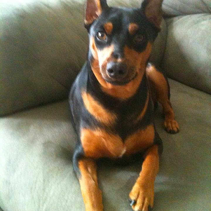 Jack