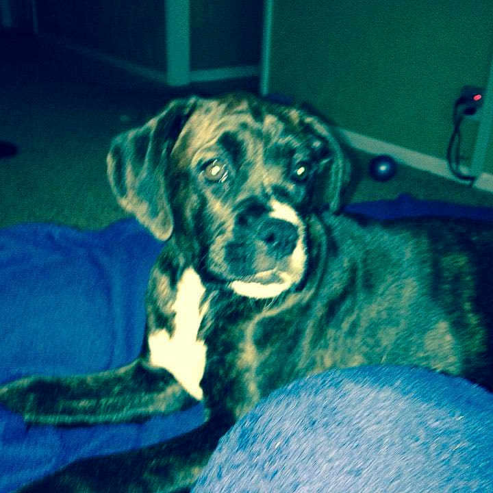 Sadie