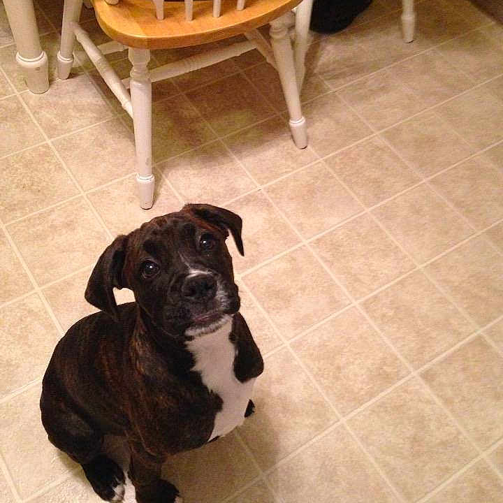 Sadie