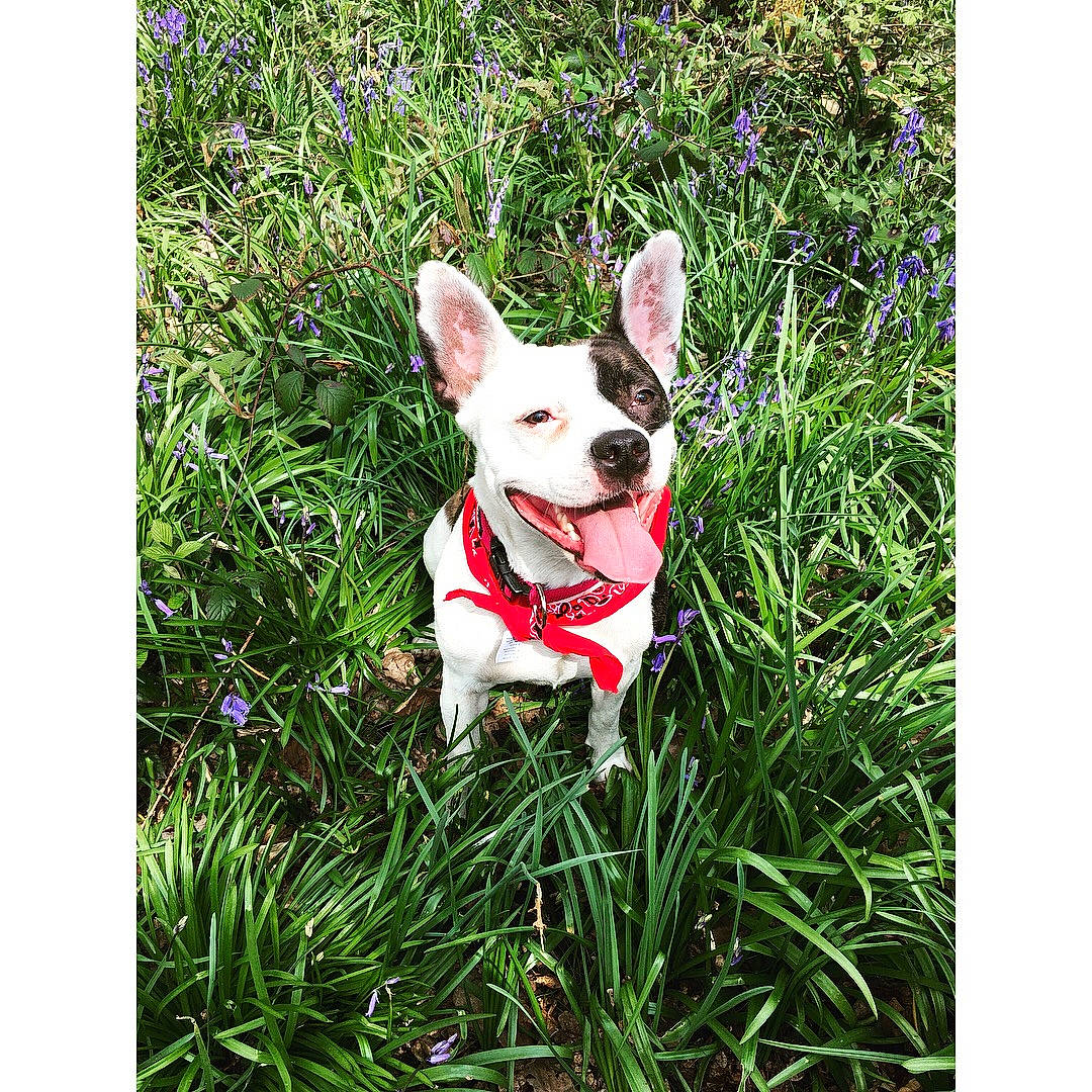 Molly