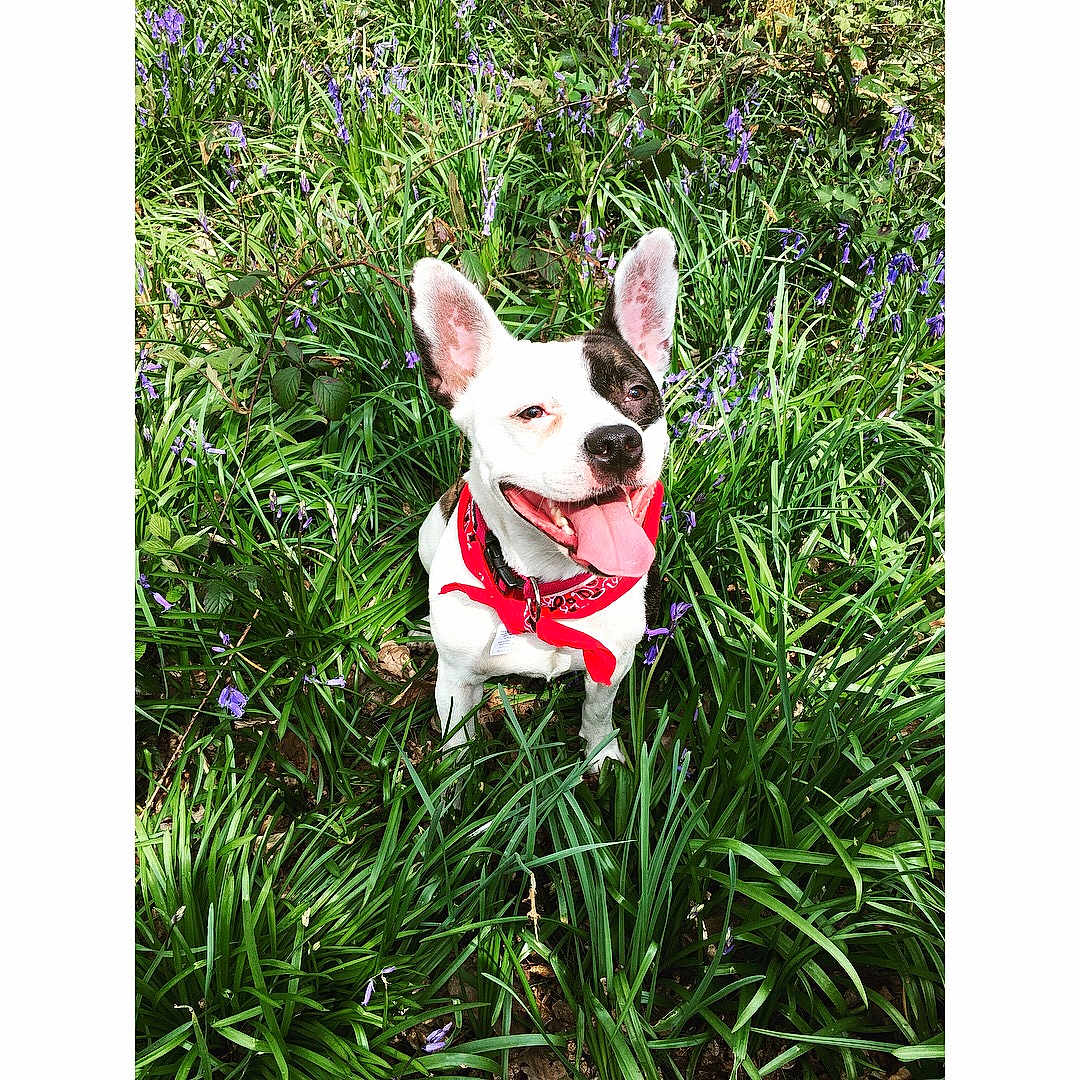 Molly