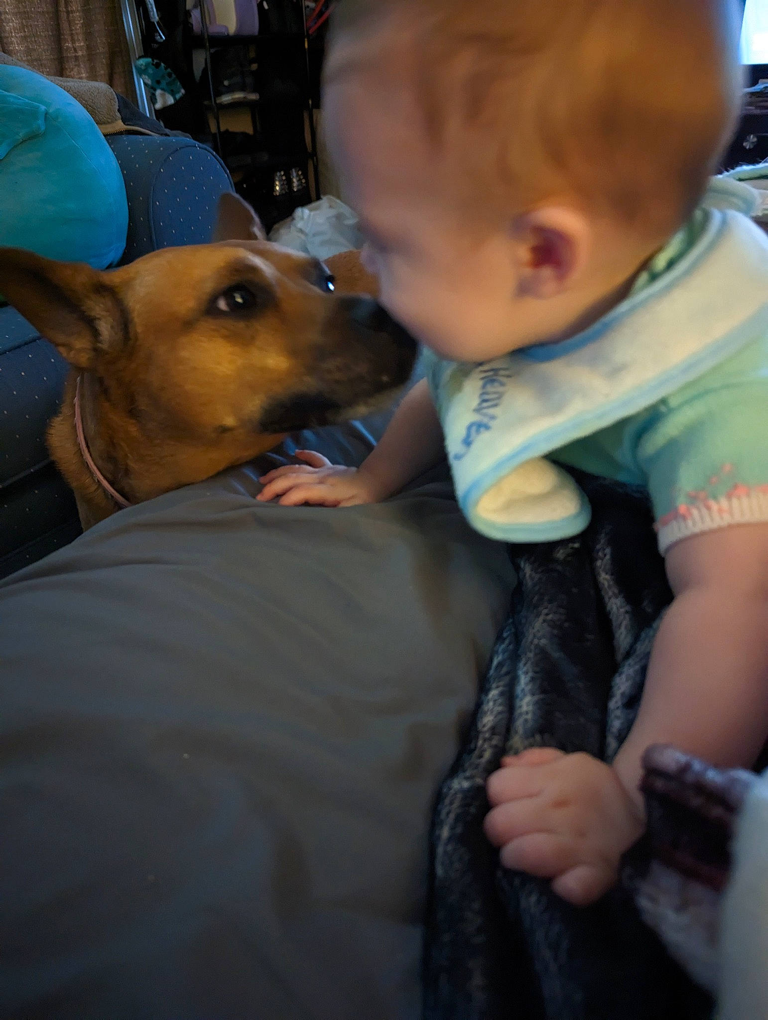 Ethan joined the competition — help win amazing prizes! baby, carnivore, child, companion_dog, dog, dog_breed, ear, event, fun, fur, guard_dog, happy, interaction, person, sitting, t_shirt, toddler, vacation