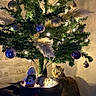 cat, christmas_tree, christmas, ornaments, lights, festive, holiday, indoor, living_room, decorations, plush_toys, snowman, santa_hat, purple_baubles, greenery, tabby_cat, whiskers, sitting, warm_lighting, portrait