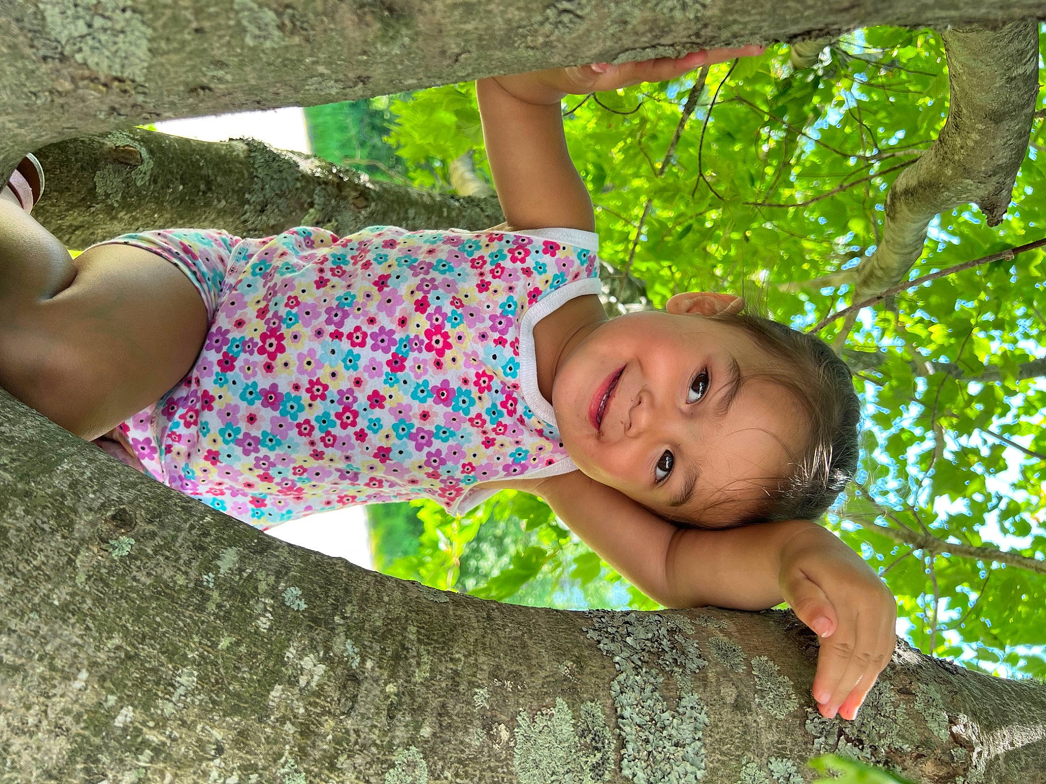 Cienna is registered to the contest to win money with this photo: botany, child, fun, grass, green, hairstyle, happy, human_leg, joy, leisure, pattern, people_in_nature, person, plant, sitting, spring, thigh, toddler, tree, trunk
