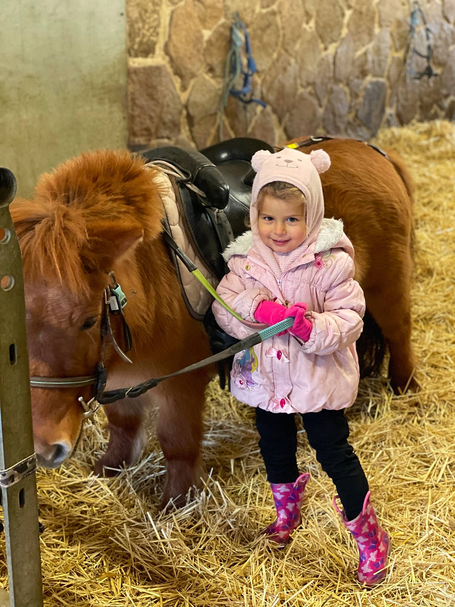 Elyssa participe au concours pour gagner de l'argent avec cette photo : boot, bridle, child, fun, grass, happy, horse, horse_supplies, horse_tack, jacket, joy, landscape, livestock, pack_animal, people_in_nature, person, recreation, rein, shetland_pony, smile