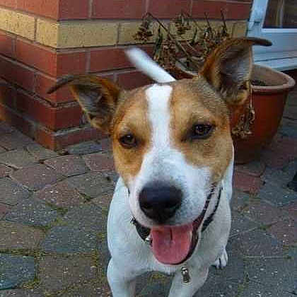 Buster