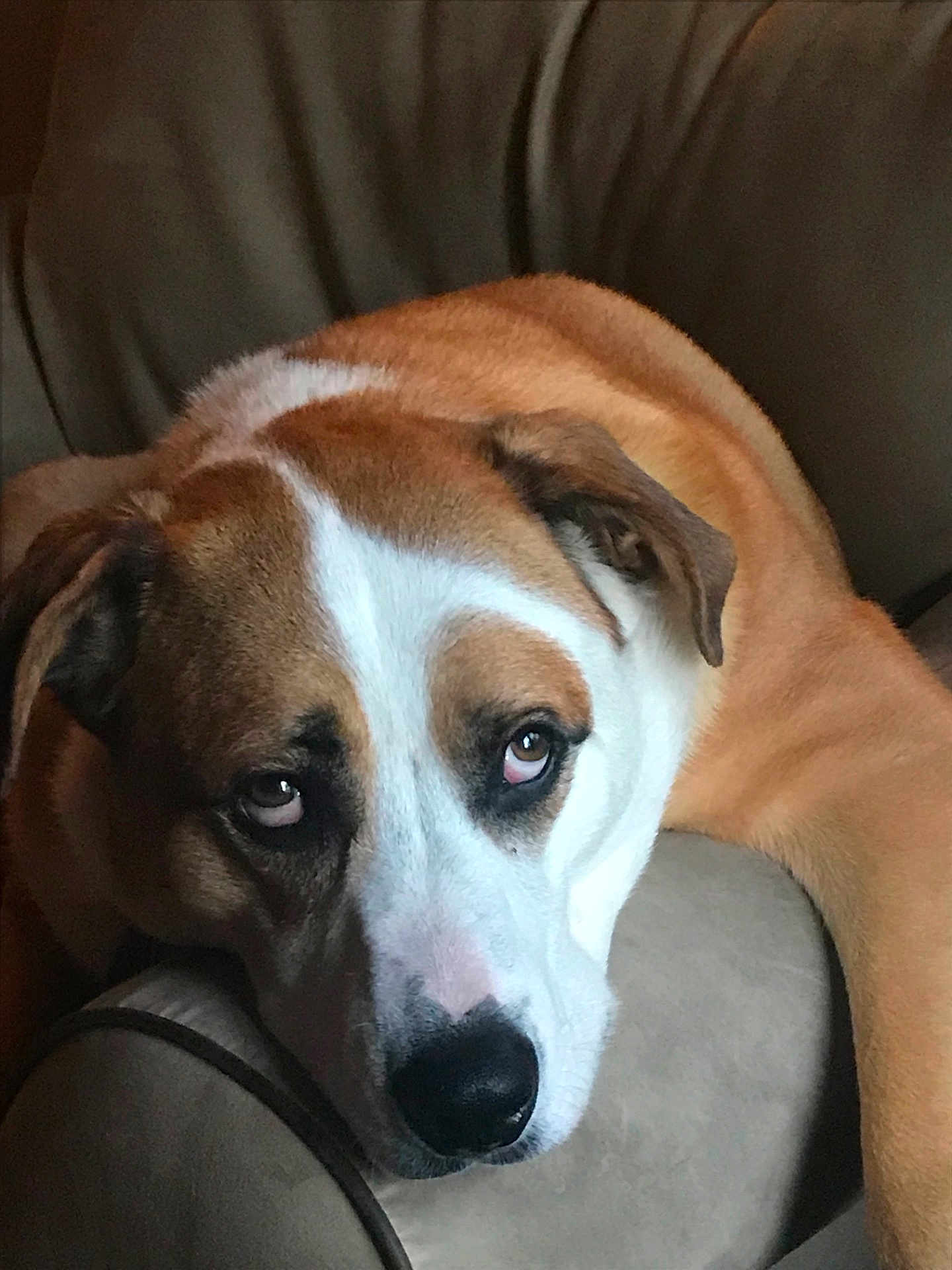 Bernie