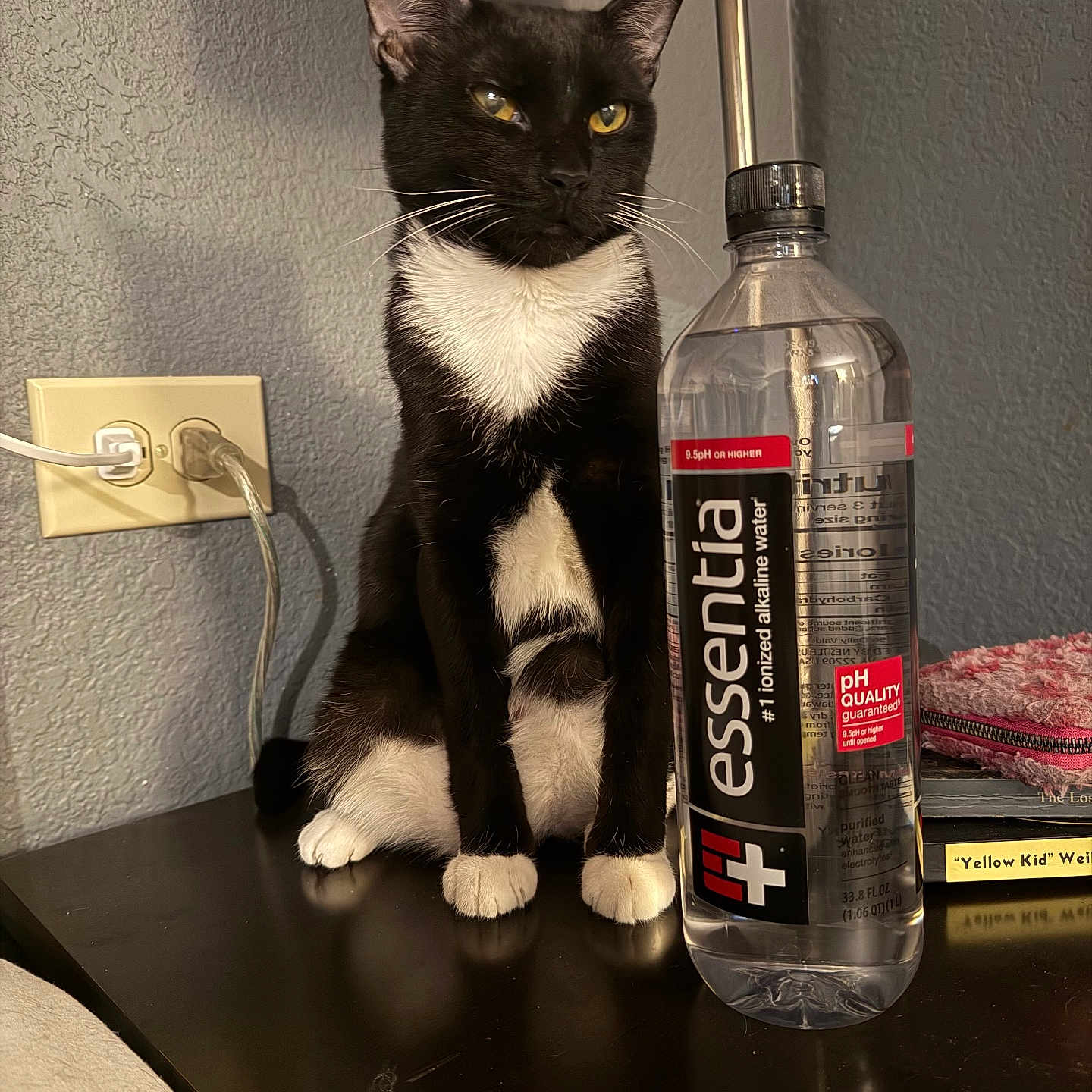 Sasha joined the competition — help win amazing prizes! black_fur, book, bottle, cat, closeup, indoor, lamp, nightstand, outlet, paws, pet, reflection, sitting, table, towel, tuxedo_cat, wall, water_bottle, whiskers, white_fur
