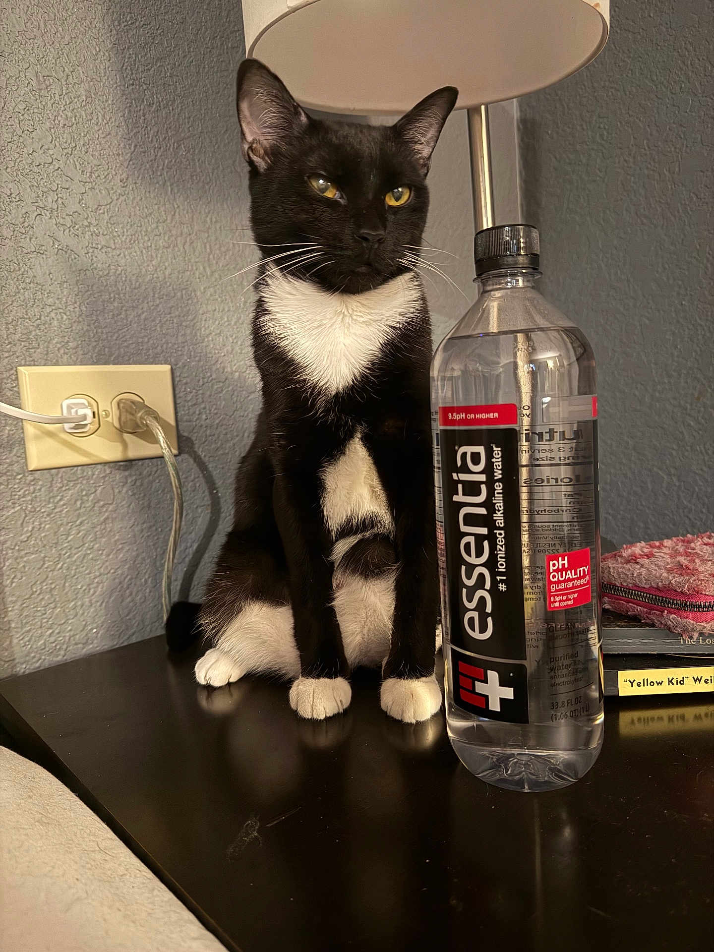 Sasha joined the competition — help win amazing prizes! cat, tuxedo_cat, pet, sitting, whiskers, paws, water_bottle, bottle, lamp, nightstand, table, outlet, wall, book, towel, indoor, black_fur, white_fur, closeup, reflection