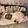 baby, infant, pink_dress, headband, blanket, rose_petals, flowers, plush_toy, elephant_toy, blocks, carpet, indoors, cute, sleeping_baby, decorations, soft_toys, child, portrait, laying_down, baby_photography