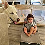 Thomas is registered to the contest to win money with this photo: toddler, baby_chair, white_dog, indoor, wooden_floor, baby_playpen, curly_hair, striped_shirt, dog_face, child, pet, home_interior, lamp, window_blinds, toy, baby_toys, flooring, furniture, relaxed, domestic_scene