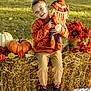 child, boy, pumpkin_sweater, scarecrow_doll, hay_bale, fall_decorations, pumpkin, sunflowers, outdoor, grass, autumn, smiling, sitting, clothing, shoes, holiday, seasonal, festive, portrait, daylight