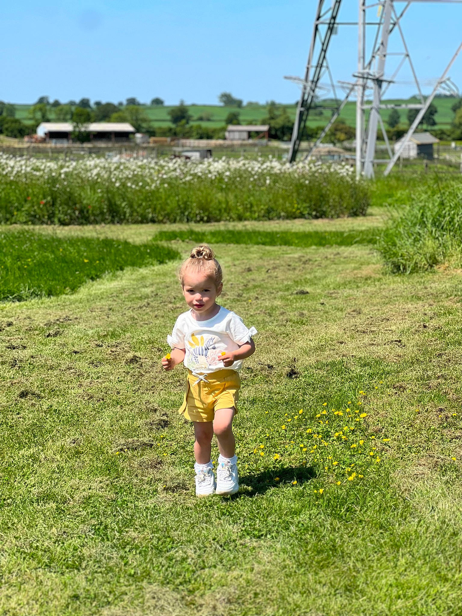 Ayla joined the competition — help win amazing prizes! ecoregion, fun, grass, grass_family, grassland, groundcover, happy, landscape, leisure, meadow, natural_landscape, pasture, people_in_nature, person, plant, prairie, recreation, shrub, sky, toddler