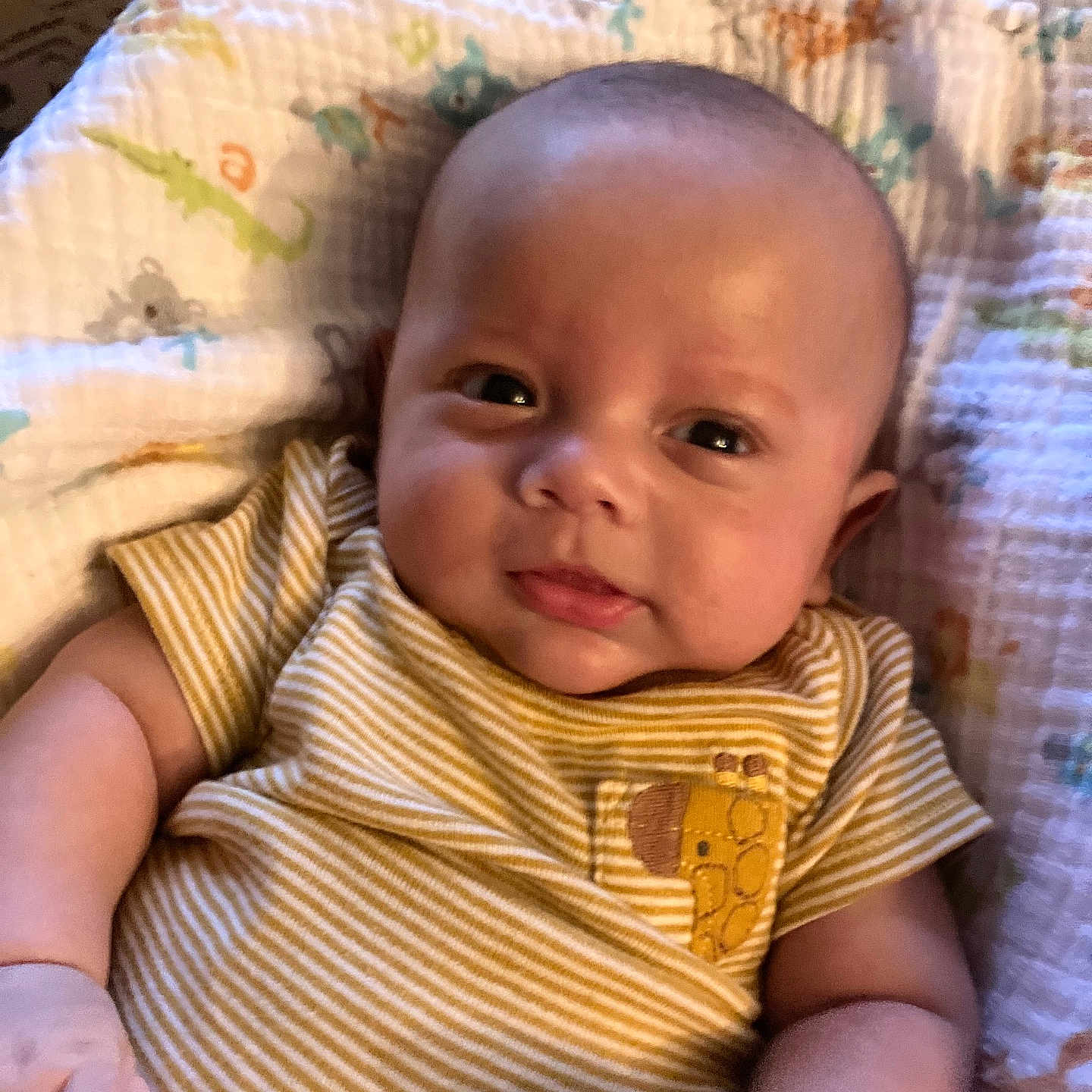 Beckett is registered to the contest to win money with this photo: arm, baby, blanket, child, cute, expression, face, giraffe_patch, indoors, infant, lying_down, newborn, patterned_blanket, person, portrait, skin, small_hand, soft_light, striped_clothing, young_child