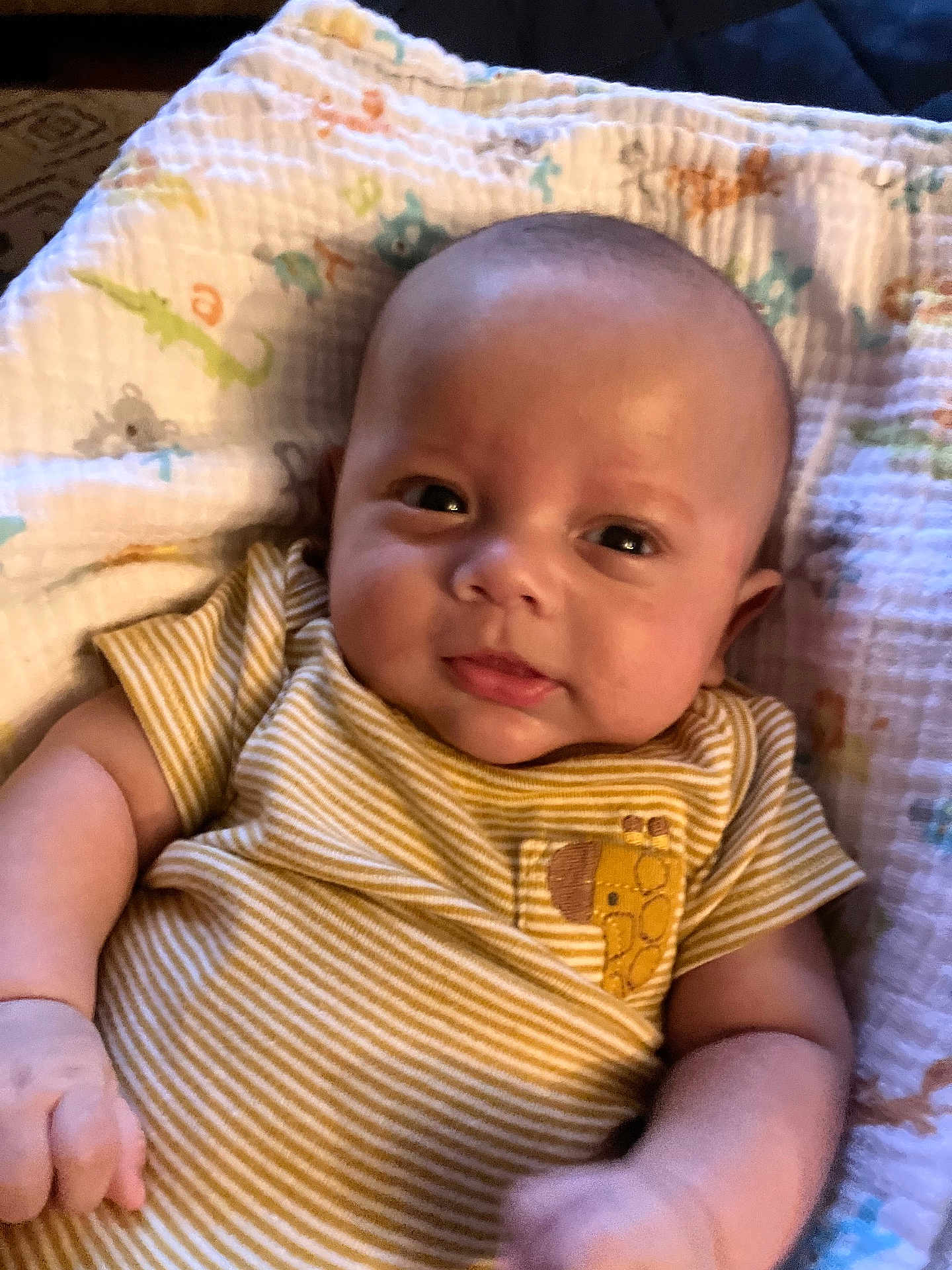 Beckett is registered to the contest to win money with this photo: baby, infant, child, face, skin, arm, blanket, striped_clothing, giraffe_patch, lying_down, cute, expression, patterned_blanket, indoors, person, newborn, young_child, small_hand, soft_light, portrait