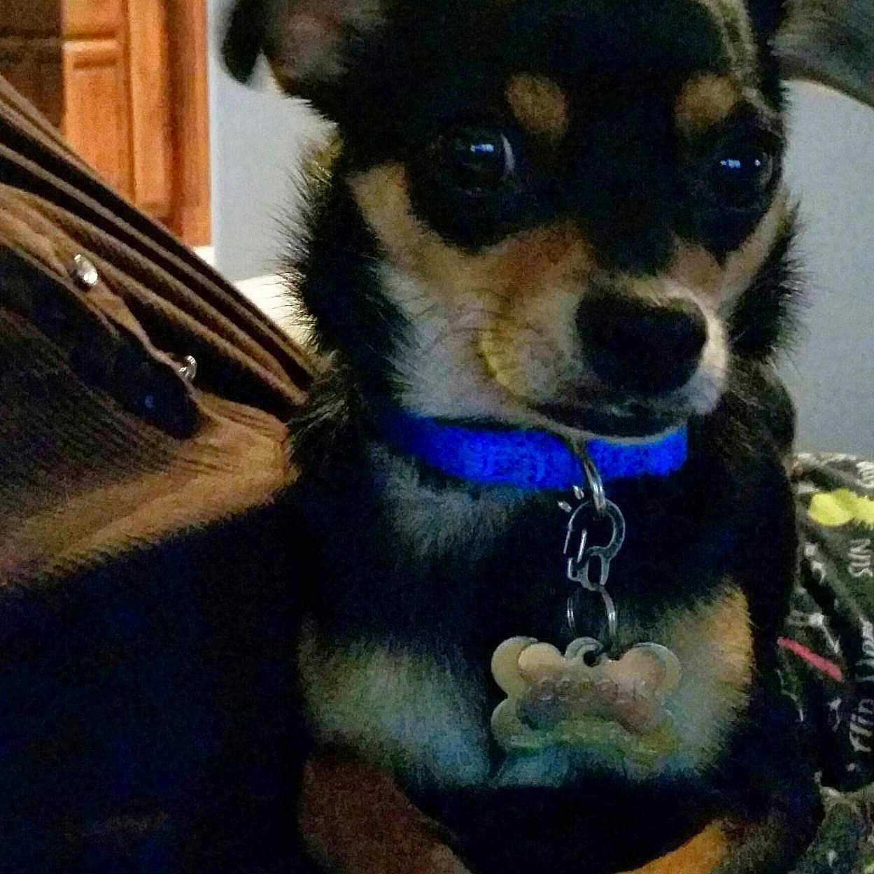 Cooper
