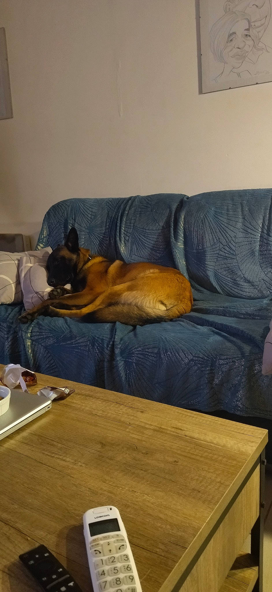 Sulky