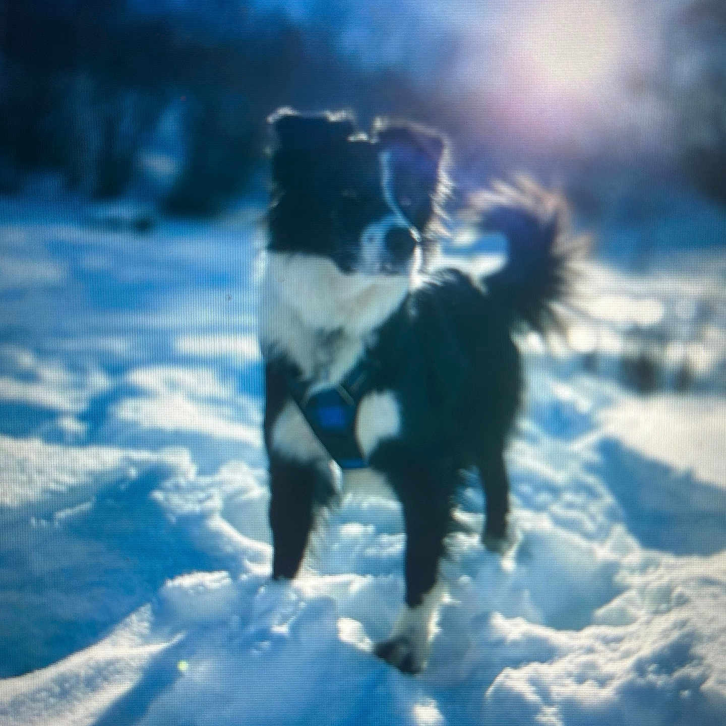 Cooper