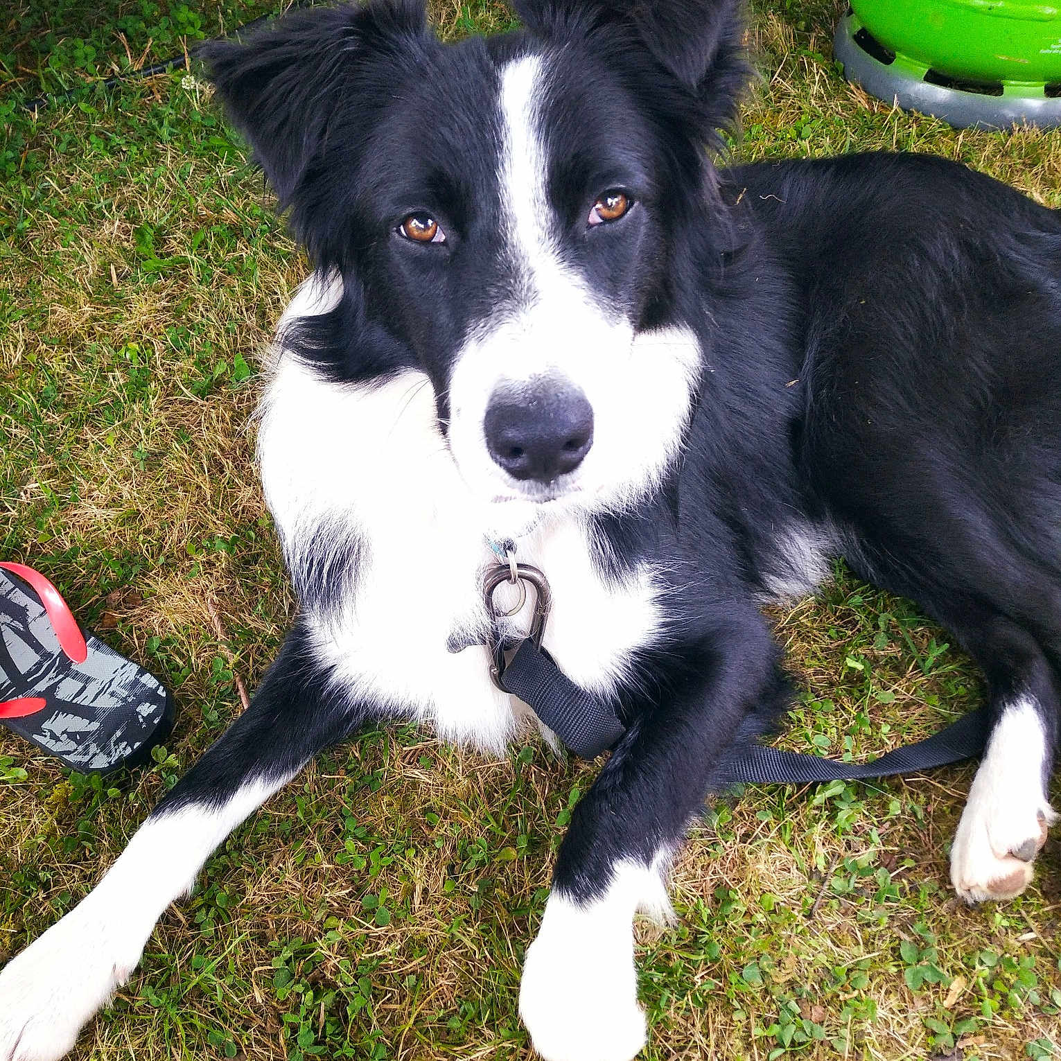 Cooper