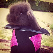 Black Pearl a rejoint le concours — aidez-le/la à gagner de superbes lots !