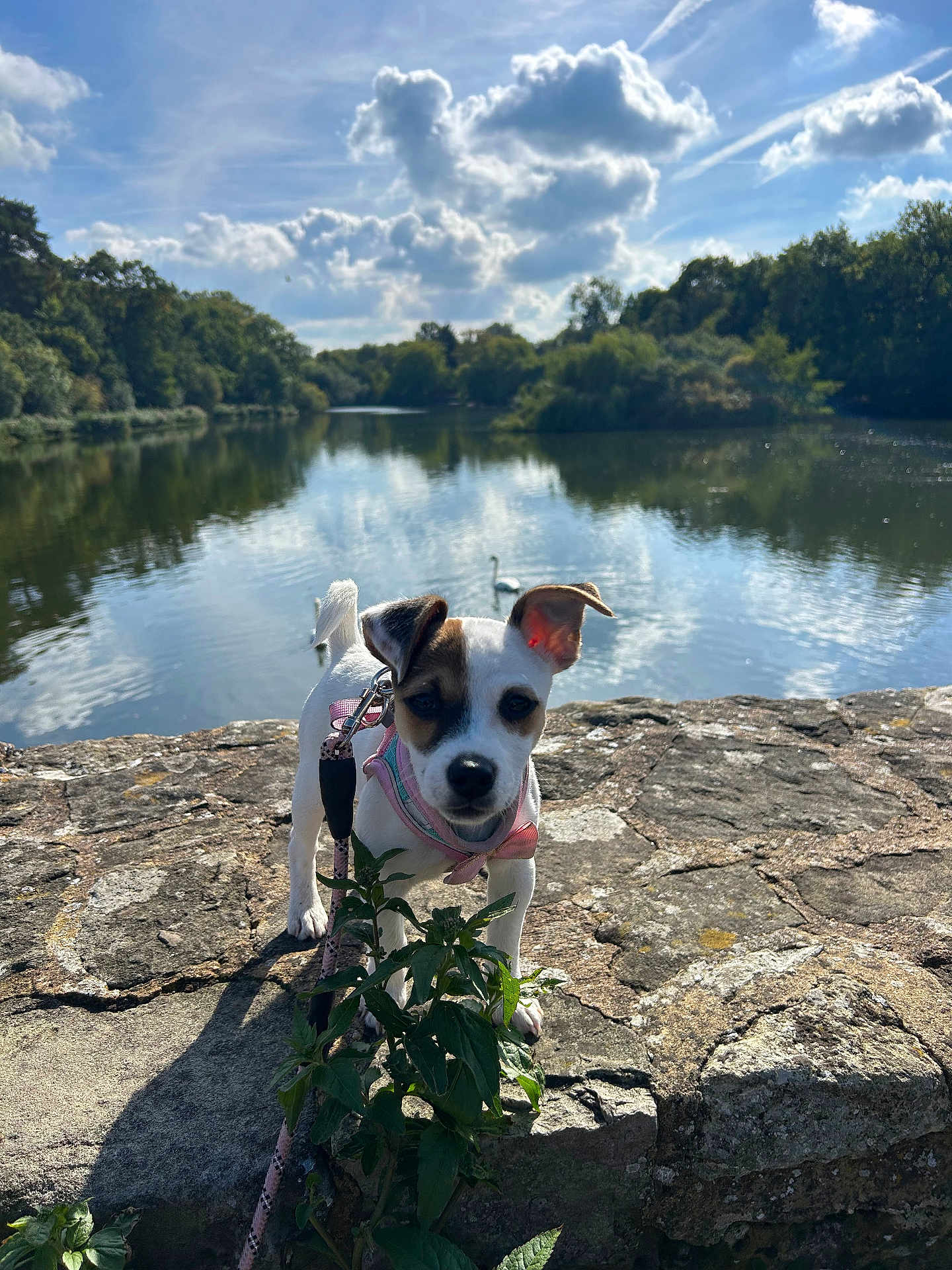 Luna