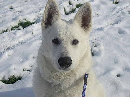 Bruce a rejoint le concours — aidez-le/la à gagner de superbes lots !