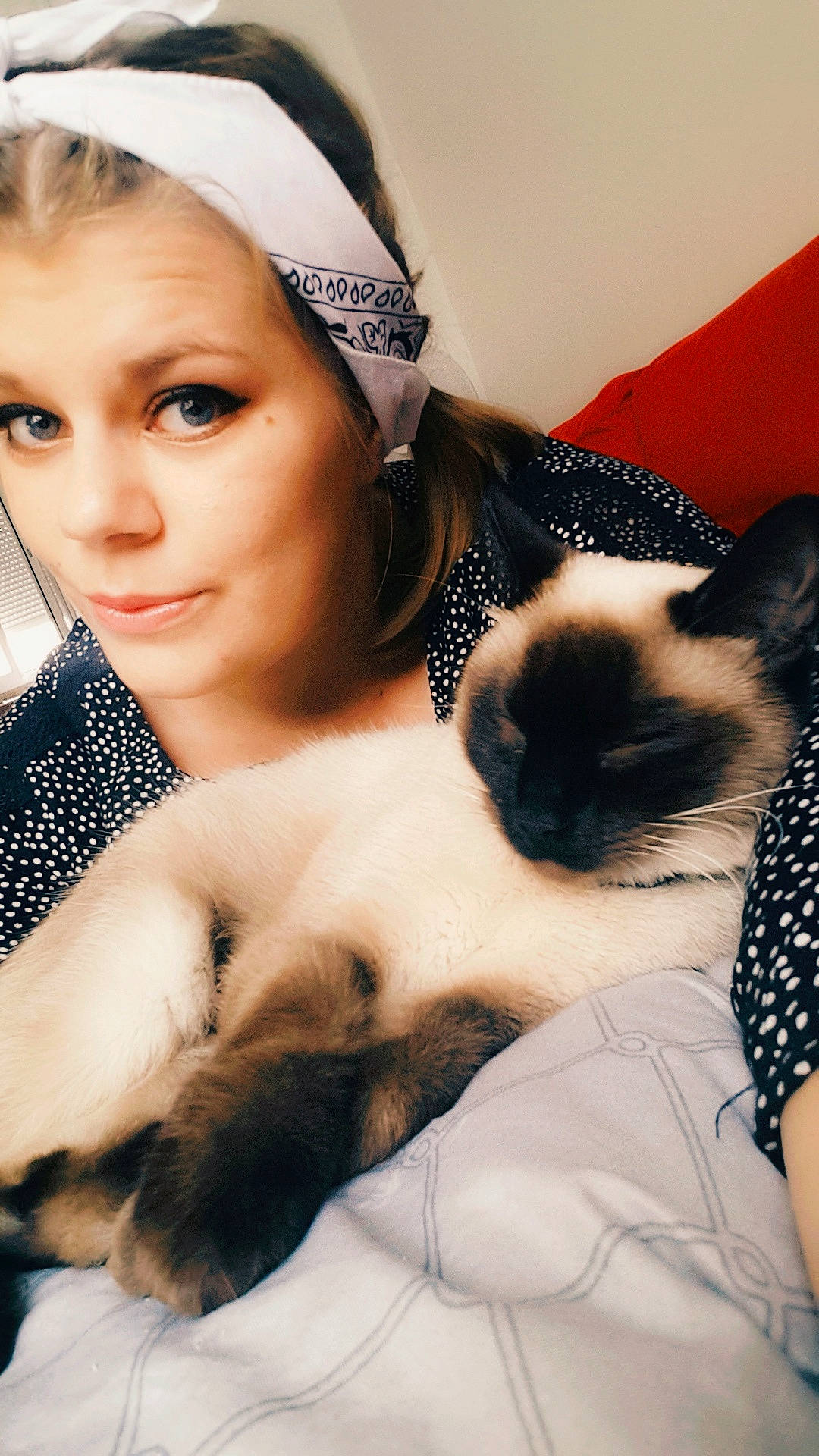 Dior participe au concours pour gagner de l'argent avec cette photo : beauty, cat, cat_like_mammal, ear, eye, fur, girl, hair_accessory, headgear, kitten, mammal, person, skin, small_to_medium_sized_cats, textile, vertebrate, whiskers