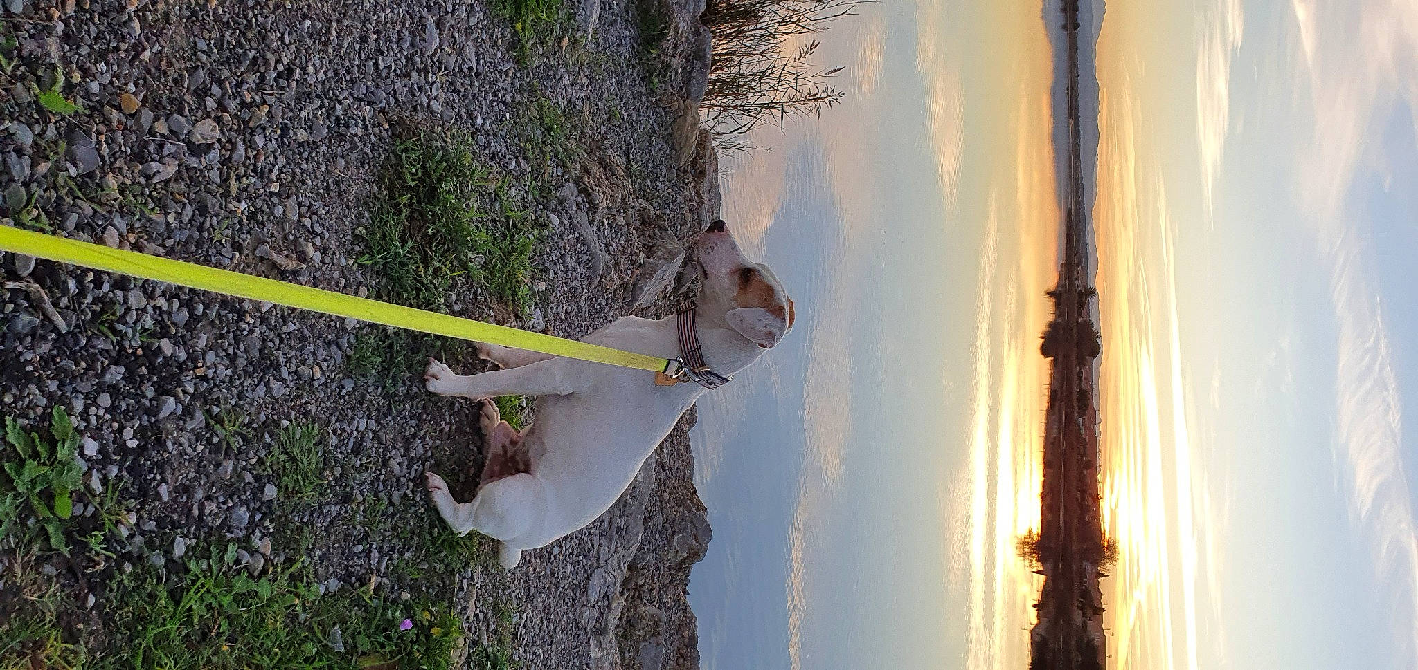 Youri a rejoint le concours — aidez-le/la à gagner de superbes lots ! adventure, cloud, heat, landscape, plant, pole, reflection, rope, sky, slope, tree, trunk, twig, water, wind, window, wing, winter, wire, wood