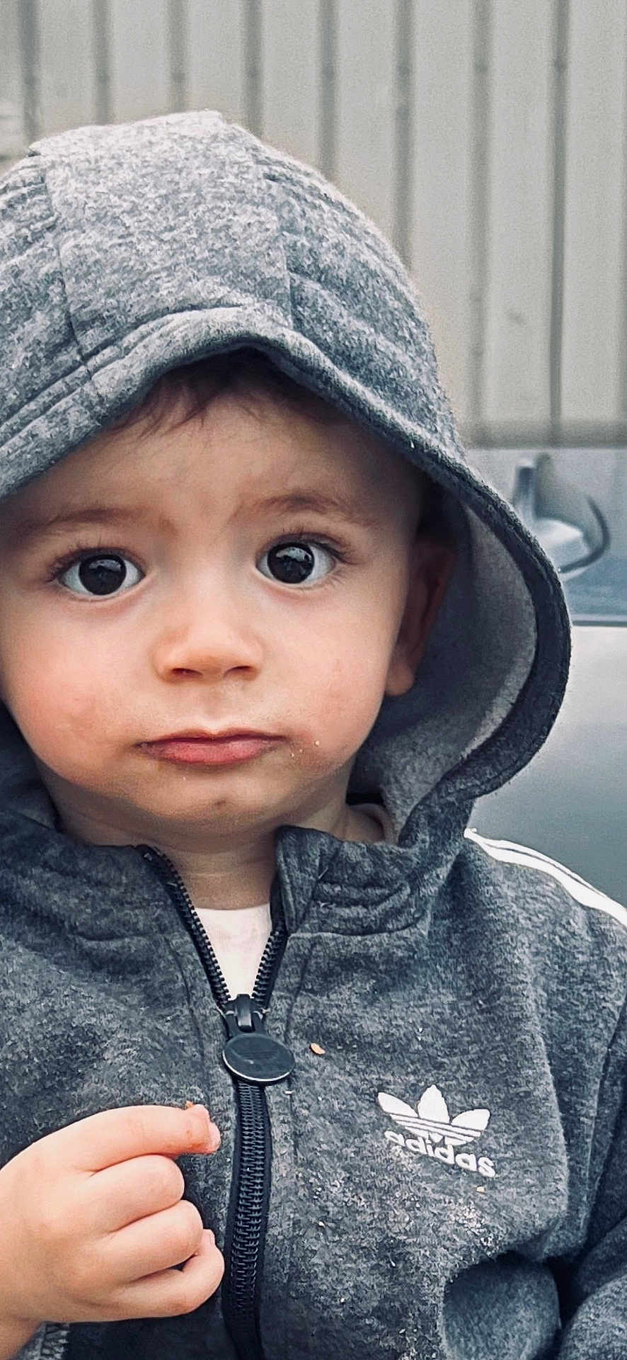 Isâac a rejoint le concours — aidez-le/la à gagner de superbes lots ! child, toddler, hoodie, grey_clothing, adidas, hood, face, expression, curious, hand, crumb, portrait, young_child, casual_wear, outdoor, closeup, person, cute, big_eyes, zipper