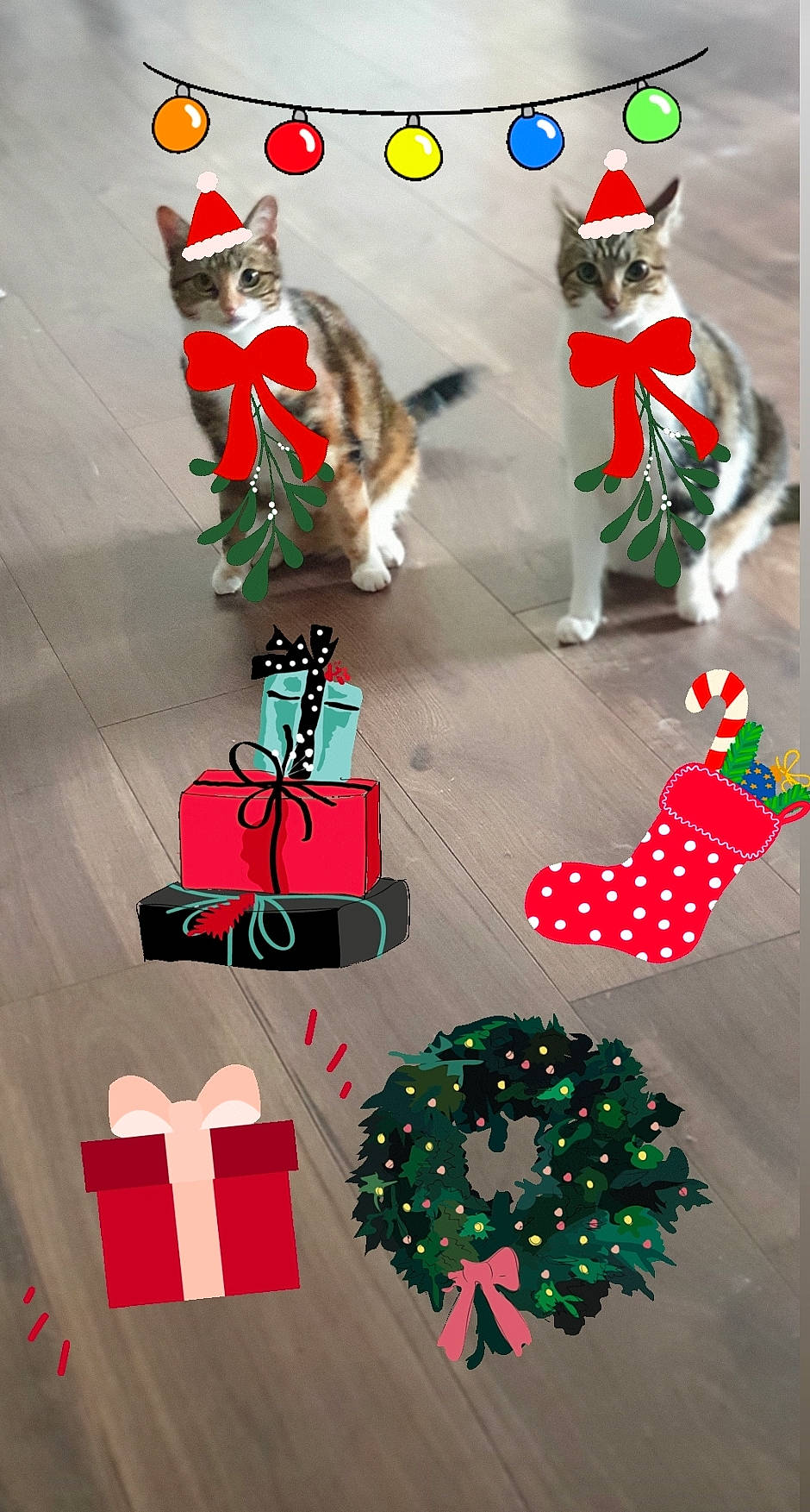 Cléo a rejoint le concours — aidez-le/la à gagner de superbes lots ! carmine, christmas, christmas_decoration, christmas_eve, christmas_ornament, christmas_stocking, event, fictional_character, font, green, holiday, holiday_ornament, icing, interior_design, mammal, ornament, red, santa_claus, sweetness, white