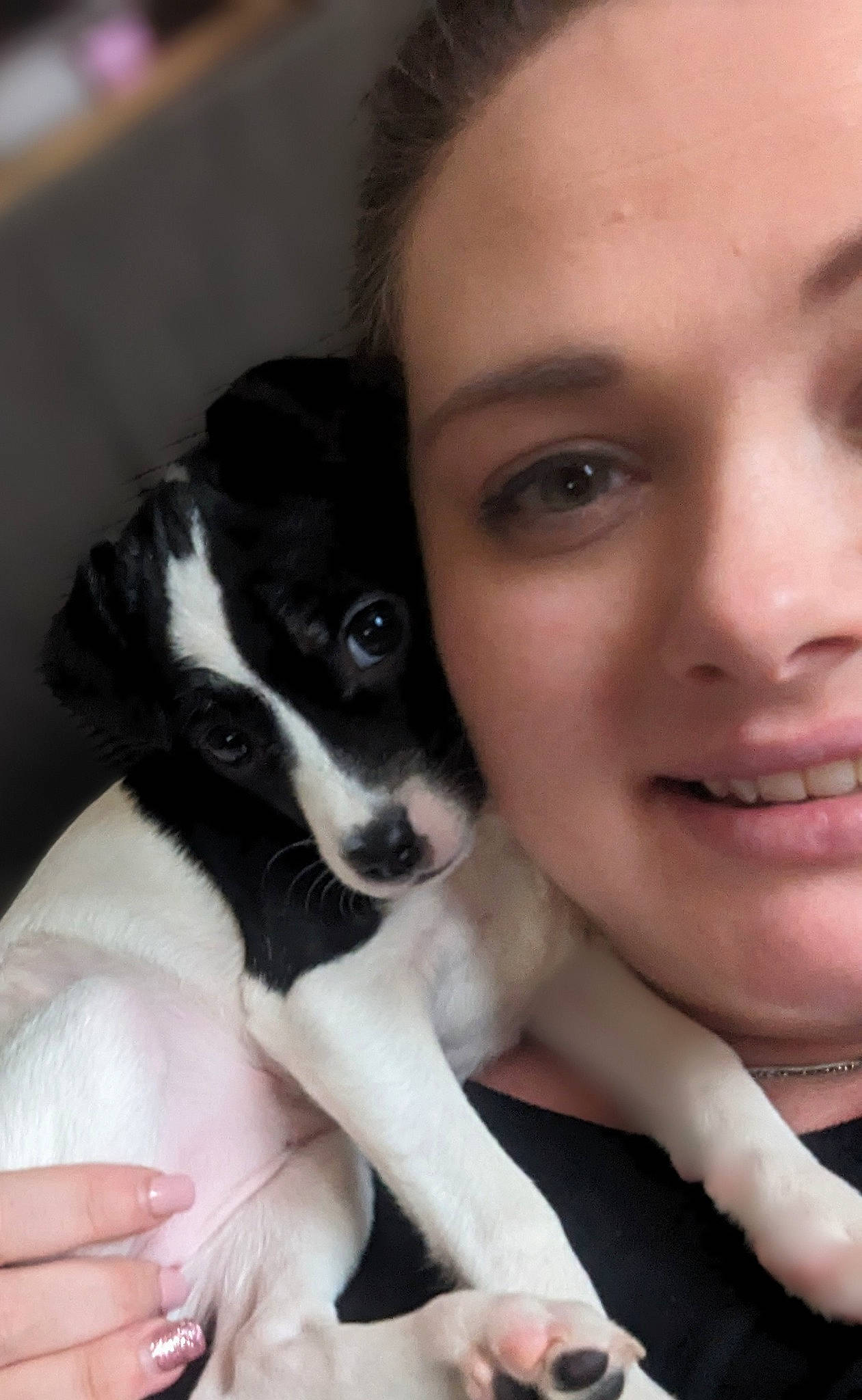 Lexi joined the competition — help win amazing prizes! black_hair, canidae, carnivore, companion_dog, dog, dog_breed, ear, eyelash, finger, gesture, hand, happy, jaw, mammal, nail, nose, skin, smile, snout, sporting_group