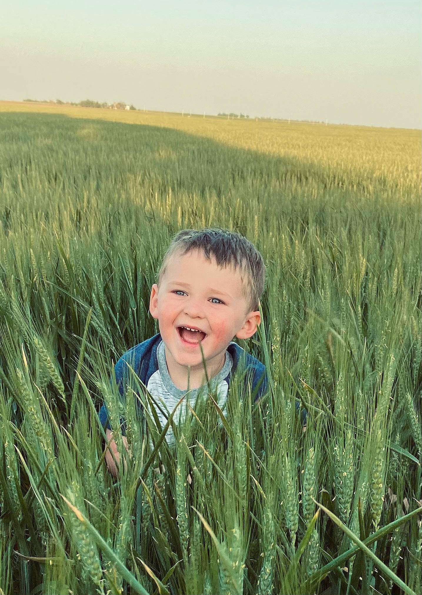 Grayson is registered to the contest to win money with this photo: agriculture, child, event, field, grass, grass_family, grassland, happy, iris, joy, khorasan_wheat, meadow, natural_landscape, people_in_nature, person, plain, plant, prairie, sky, smile
