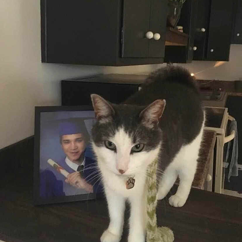 Charlie