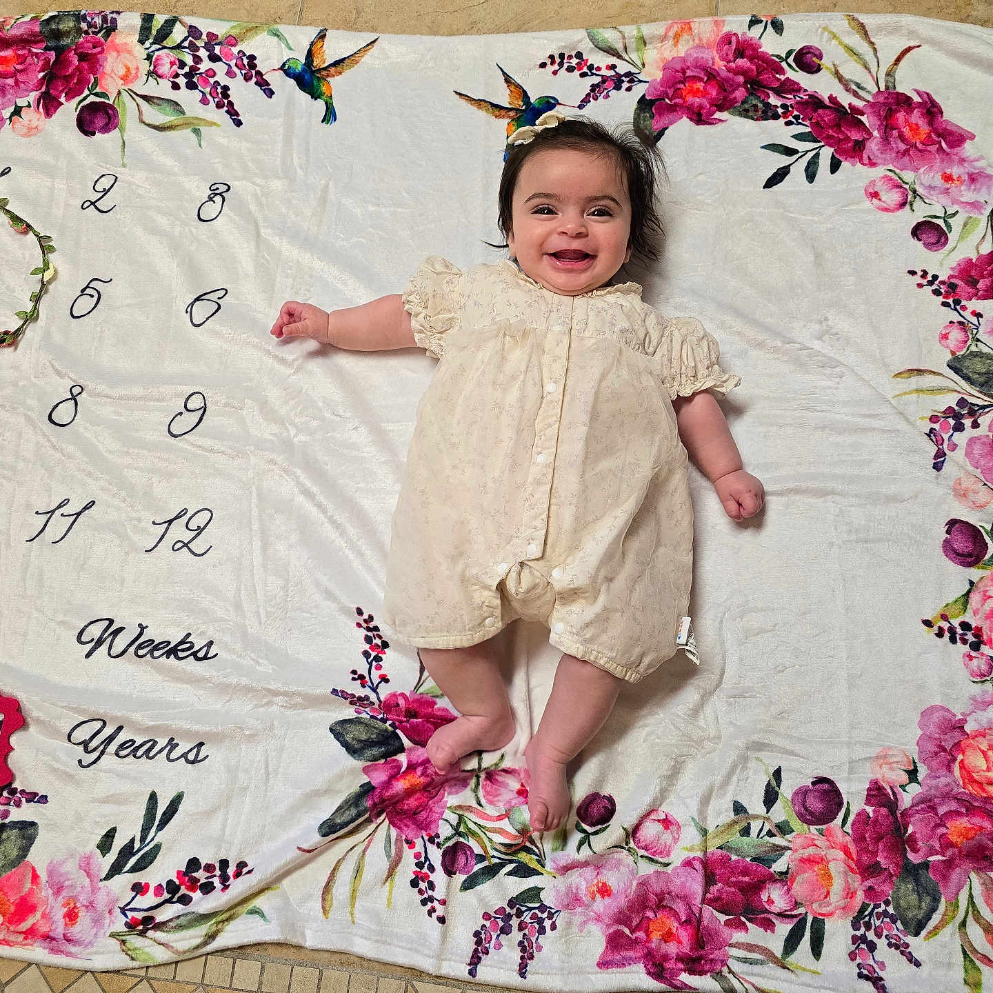Sobhya is registered to the contest to win money with this photo: baby, infant, child, smiling, portrait, lying_down, milestone_blanket, floral, flowers, hummingbird, cream_dress, bow, indoor, blanket, textile, photography, happy, face, family_photo, milestone