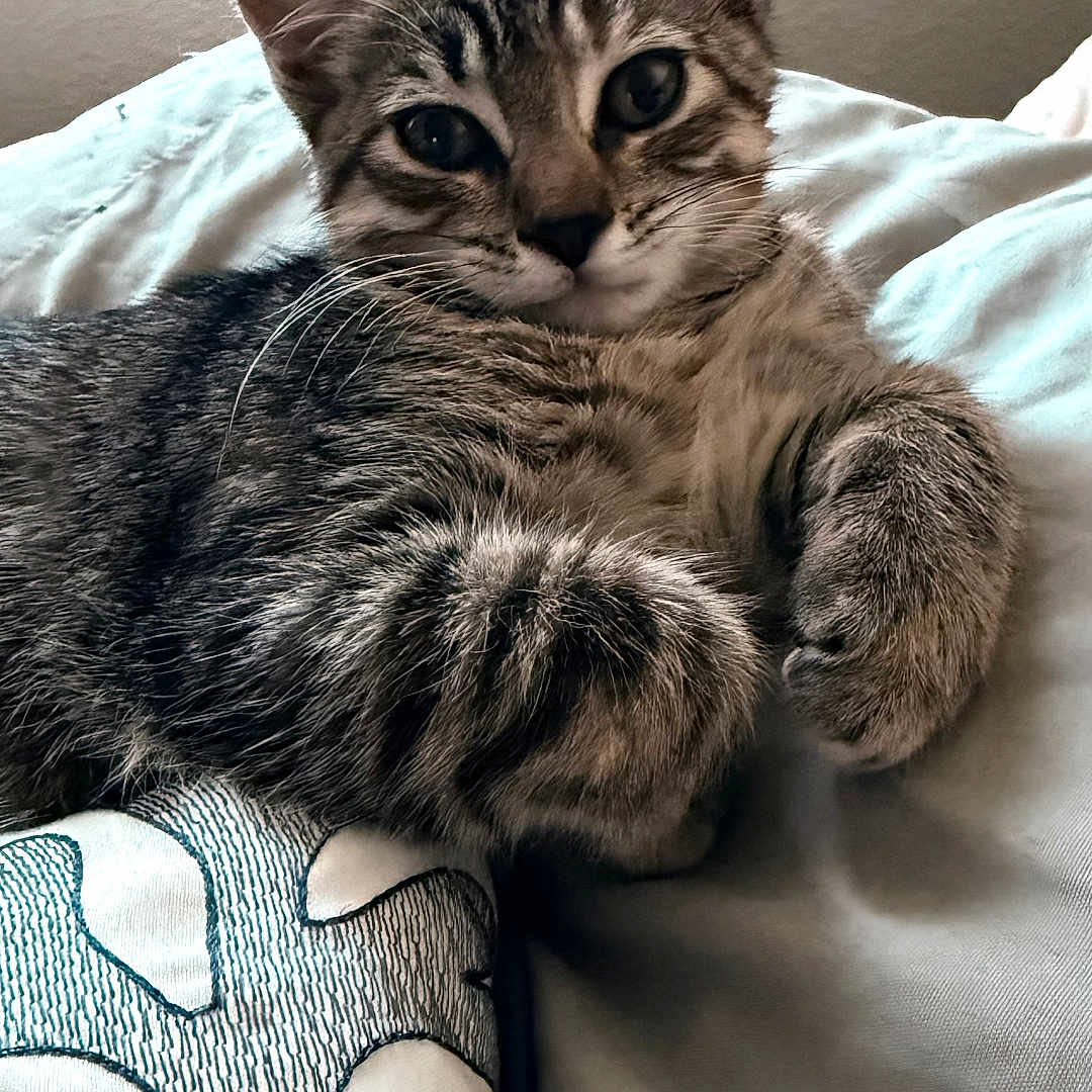 Luna