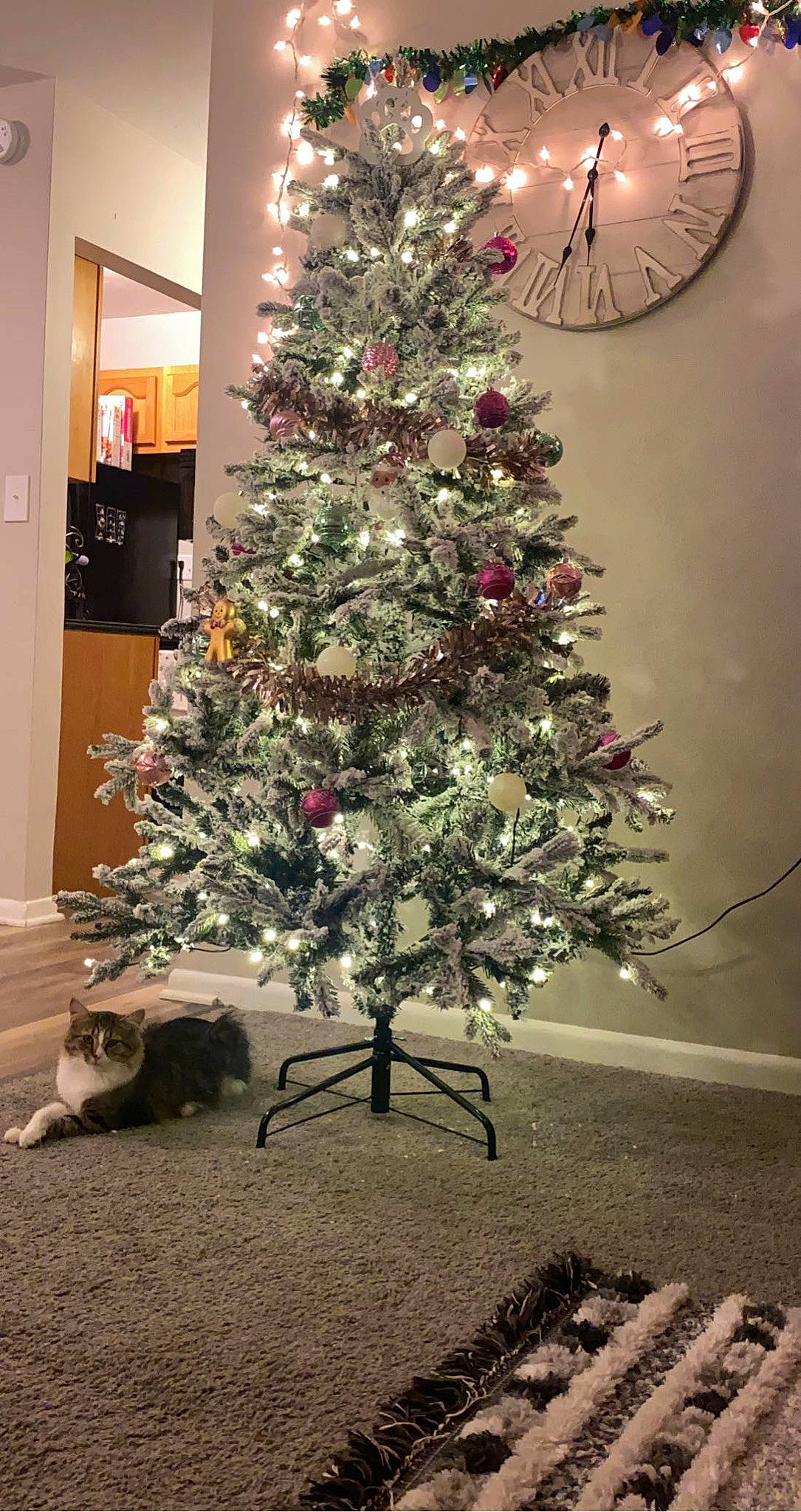 Marlo is registered to the contest to win money with this photo: balsam_fir, branch, christmas, christmas_decoration, christmas_eve, christmas_ornament, christmas_tree, colorado_spruce, conifer, evergreen, houseplant, interior_design, oregon_pine, pine, plant, room, spruce, tree, twig, woody_plant