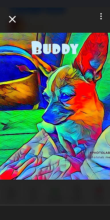 Buddy joined the competition — help win amazing prizes! art, carnivore, companion_dog, dog, dog_breed, dog_supply, drawing, fiction, fictional_character, font, graphic_design, graphics, guard_dog, illustration, modern_art, paint, painting, poster, visual_arts, working_animal