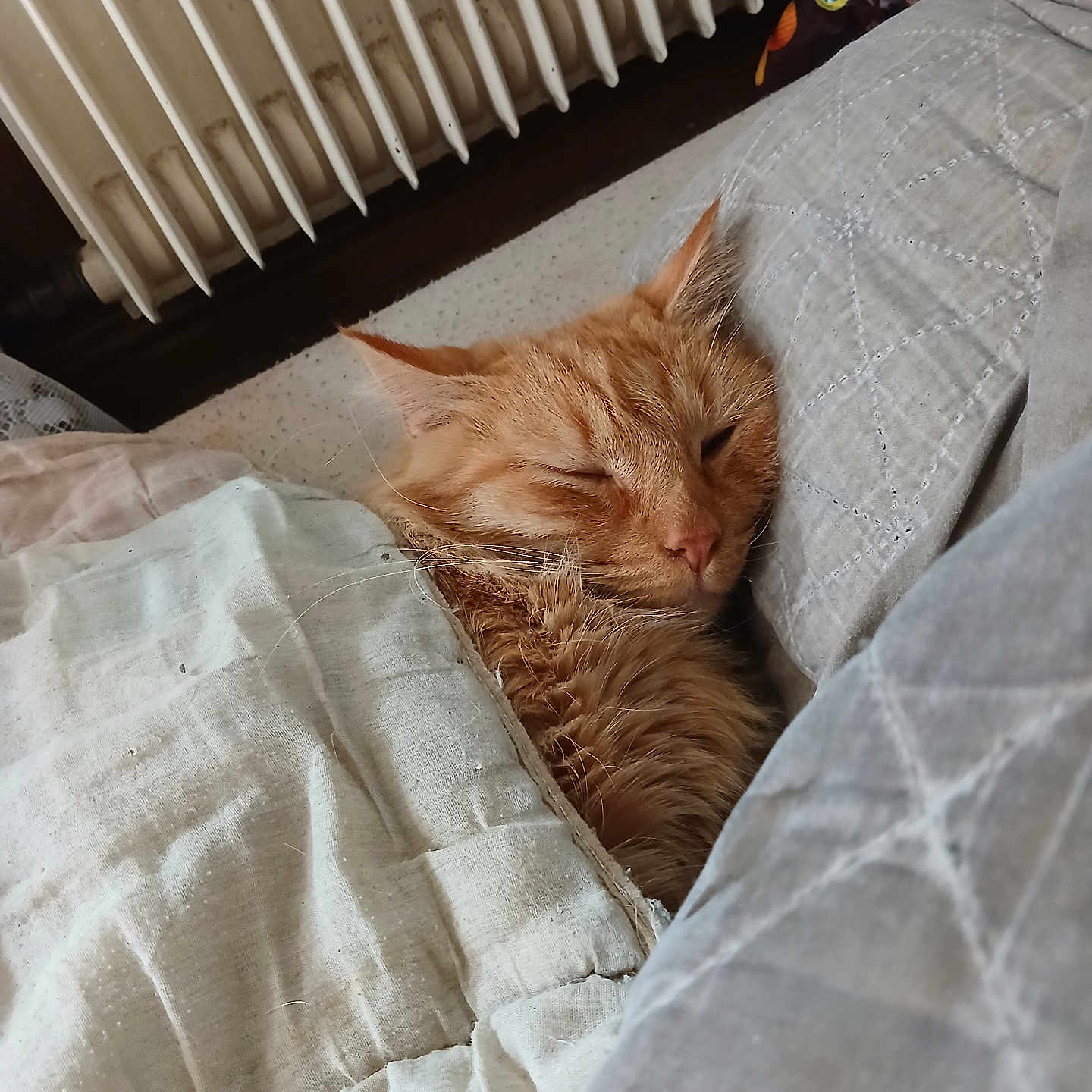 Tigrou